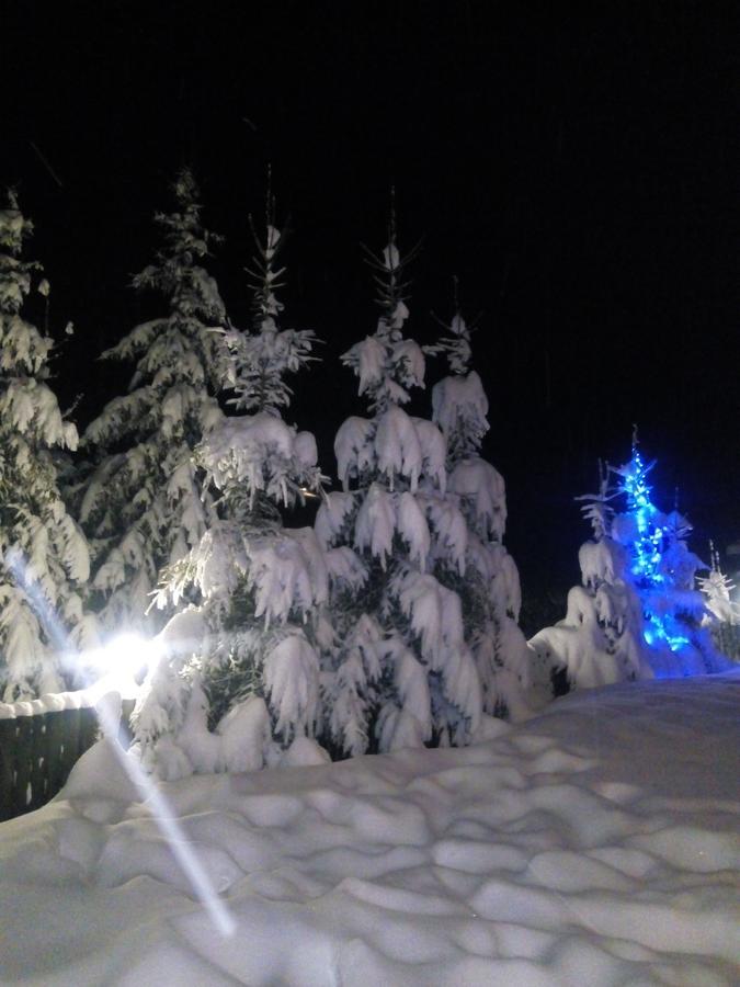 Lodge Yalivets Oryavchyk